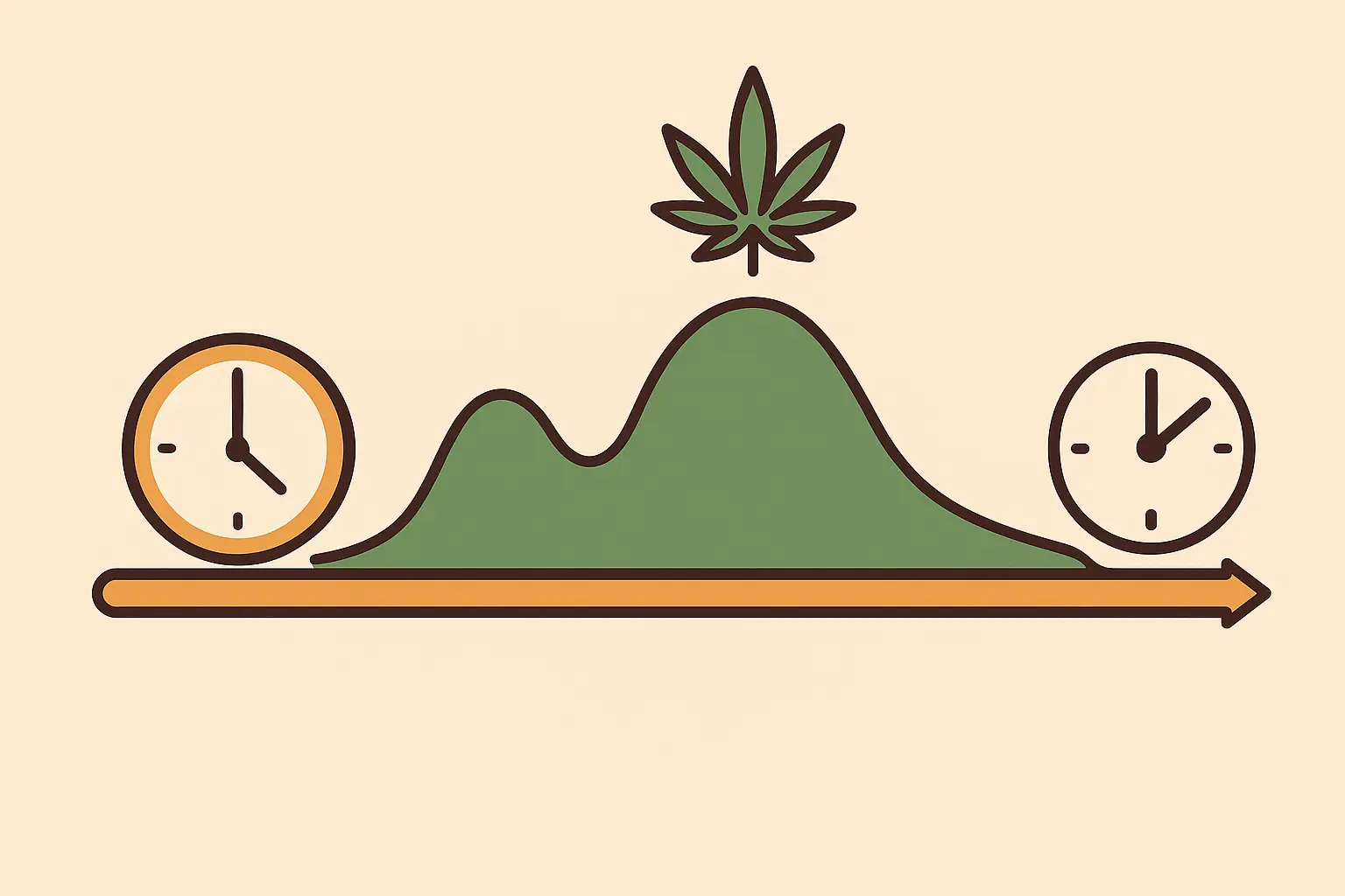 Cannabis effects timeline showing Zoap strain progression