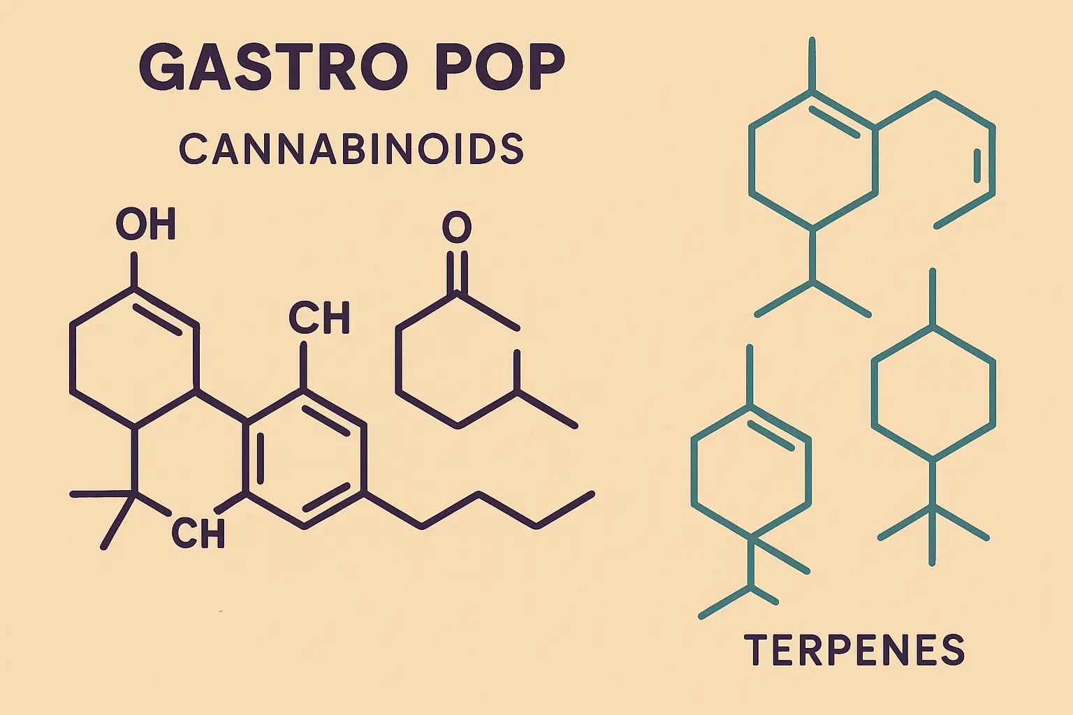 Gastro Pop strain effects timeline
