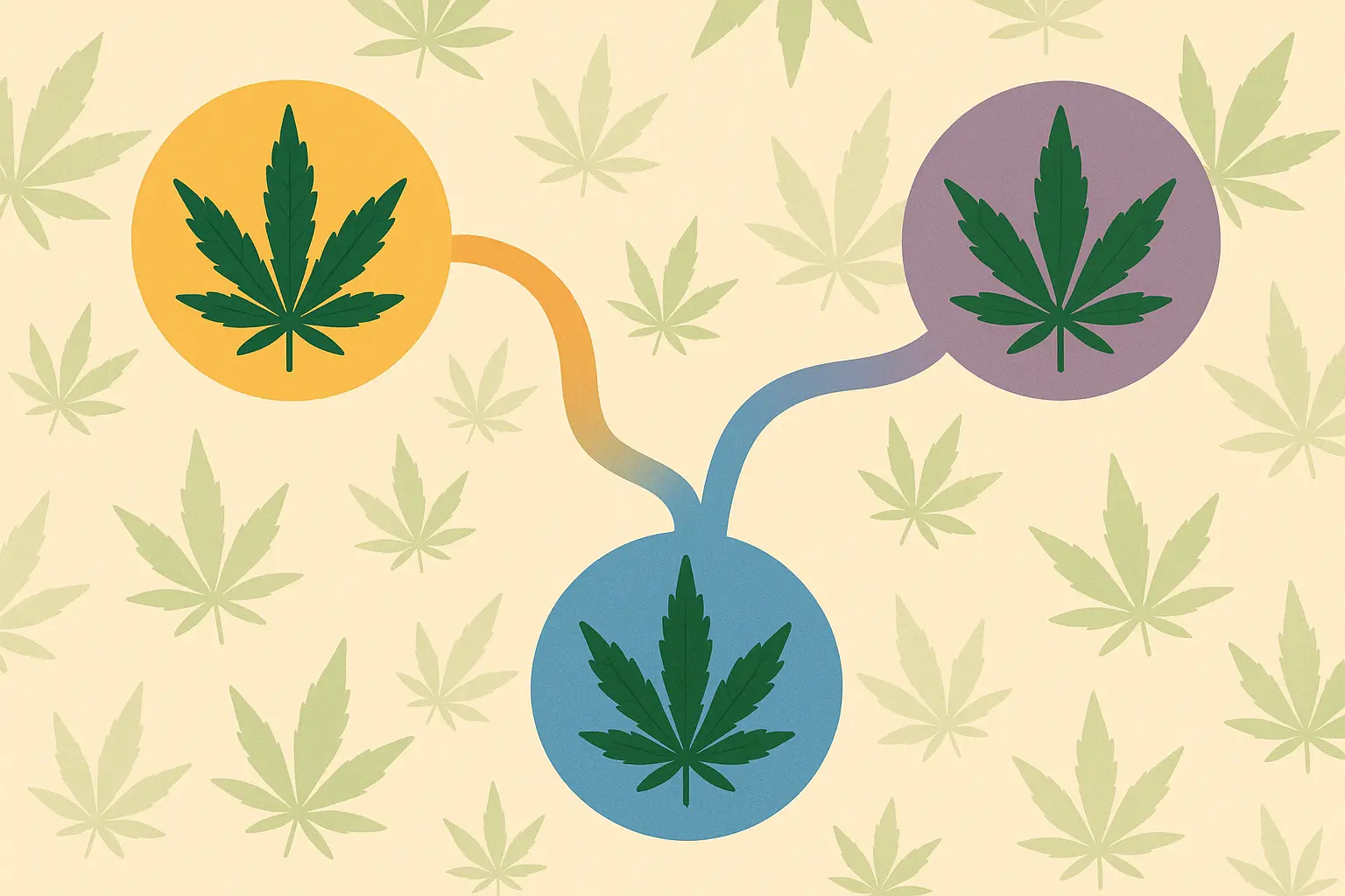 Blue Dream parent strains genetics diagram