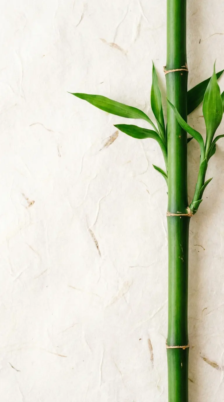 Minimalist nature wallpaper featuring a single bamboo stalk
