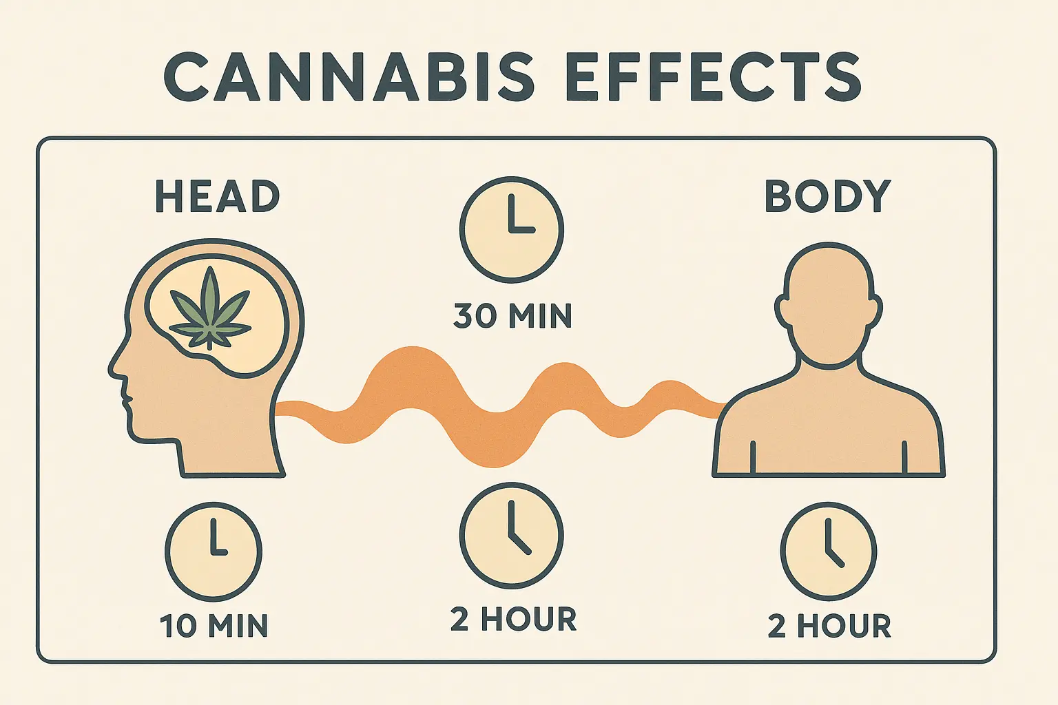 Timeline showing Do Si Dos strain effects progression