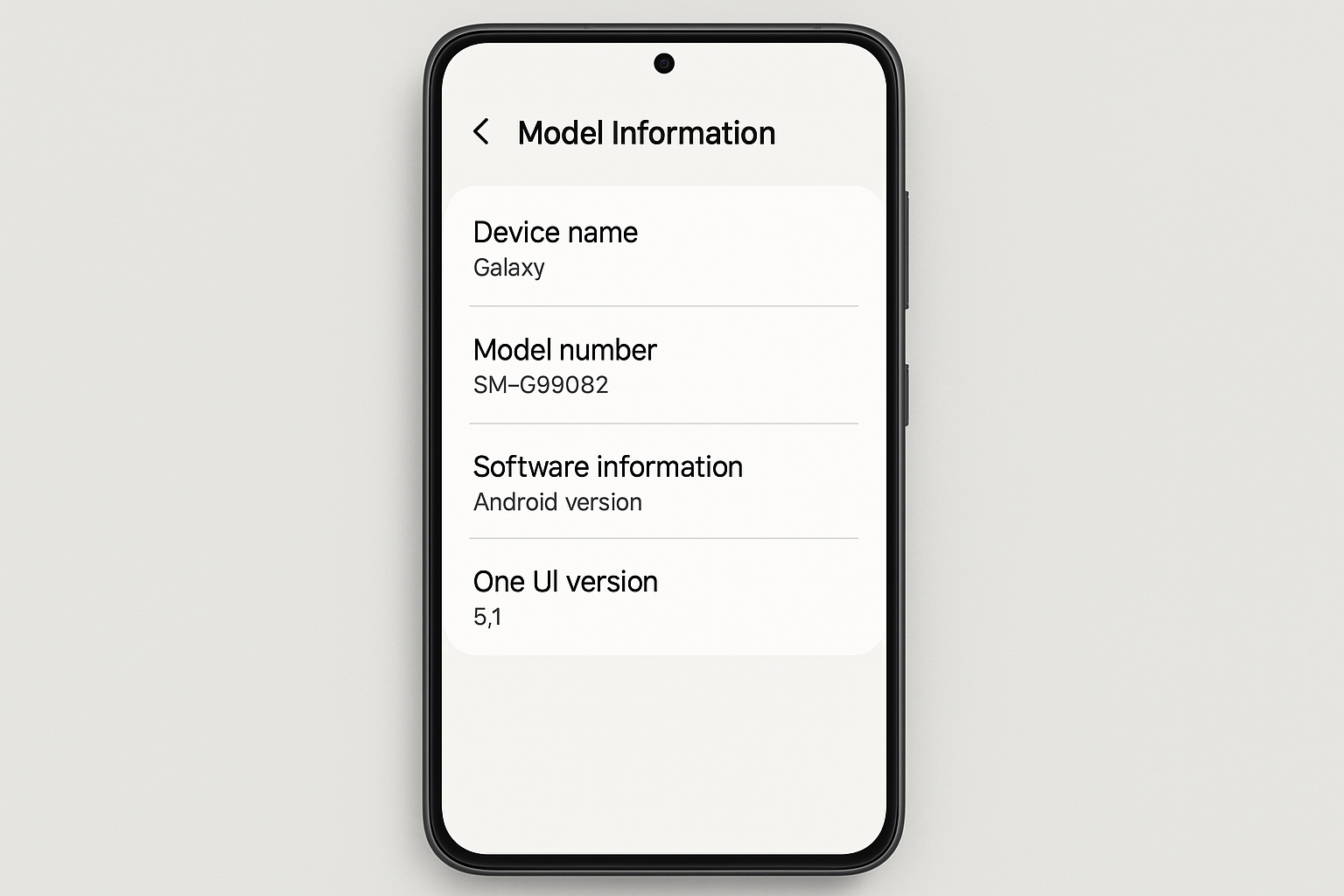 Samsung Galaxy model identification screen