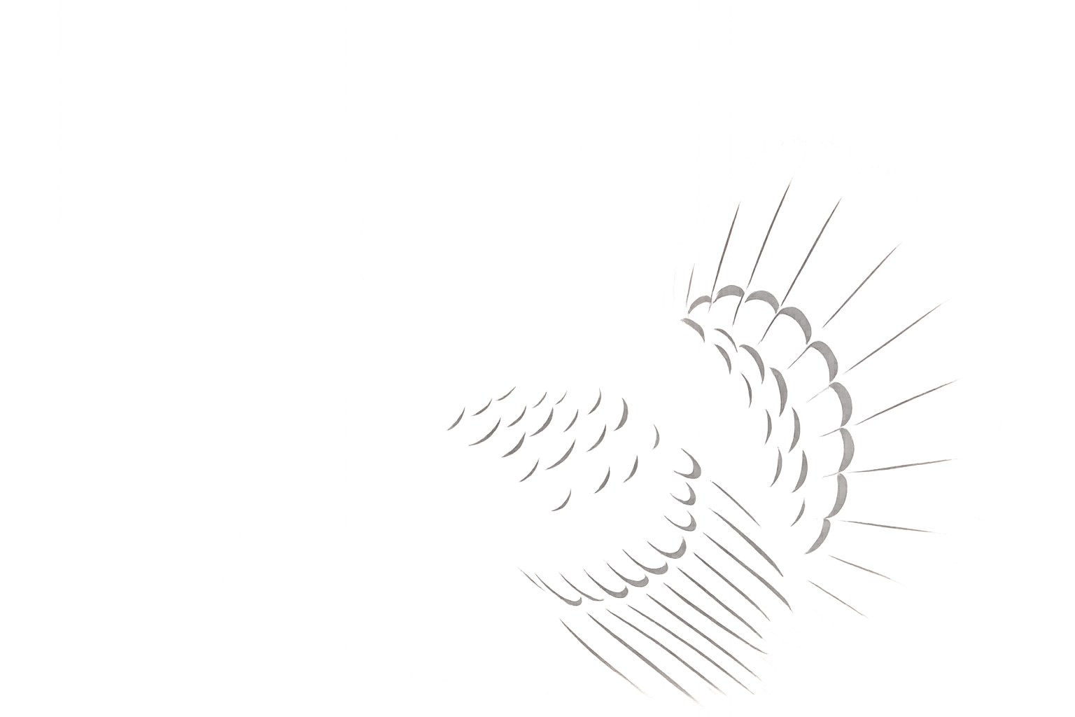 Turkey silhouette at sunset wallpaper