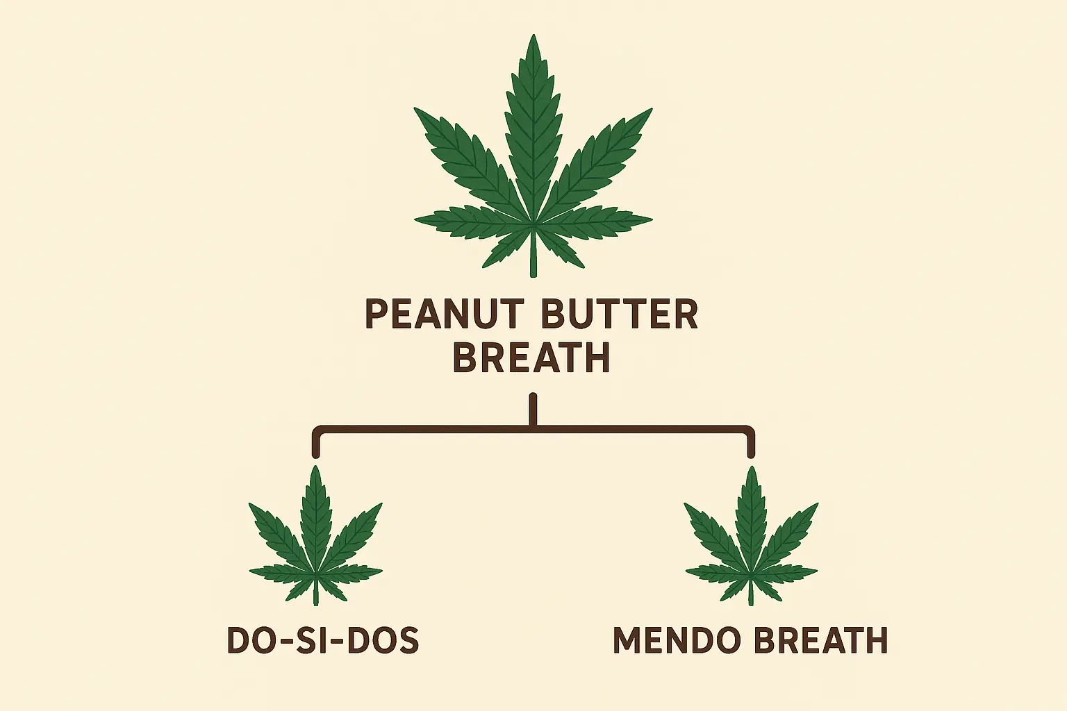 Cannabis genetics family tree diagram