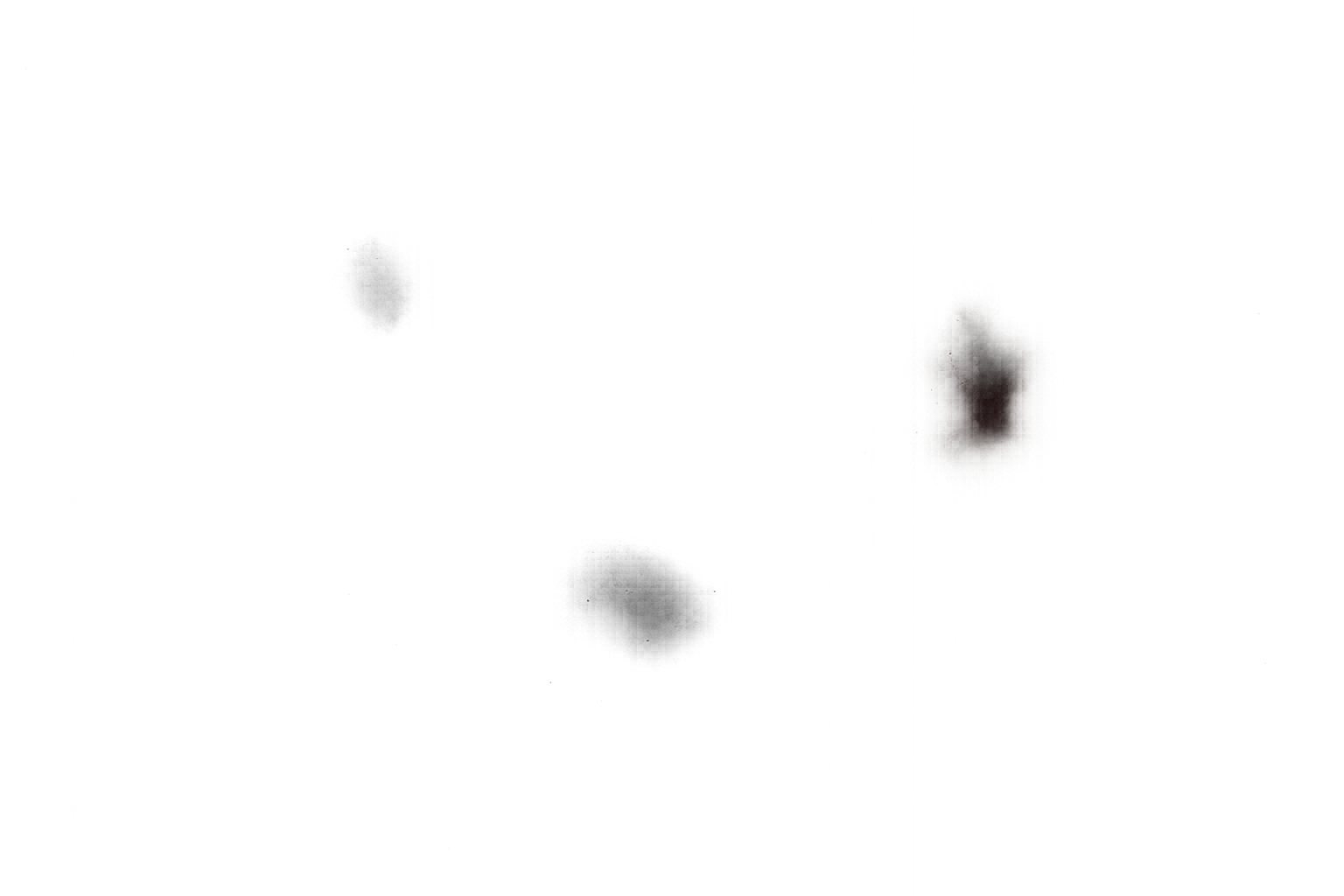 Nature-inspired organic wallpaper patterns