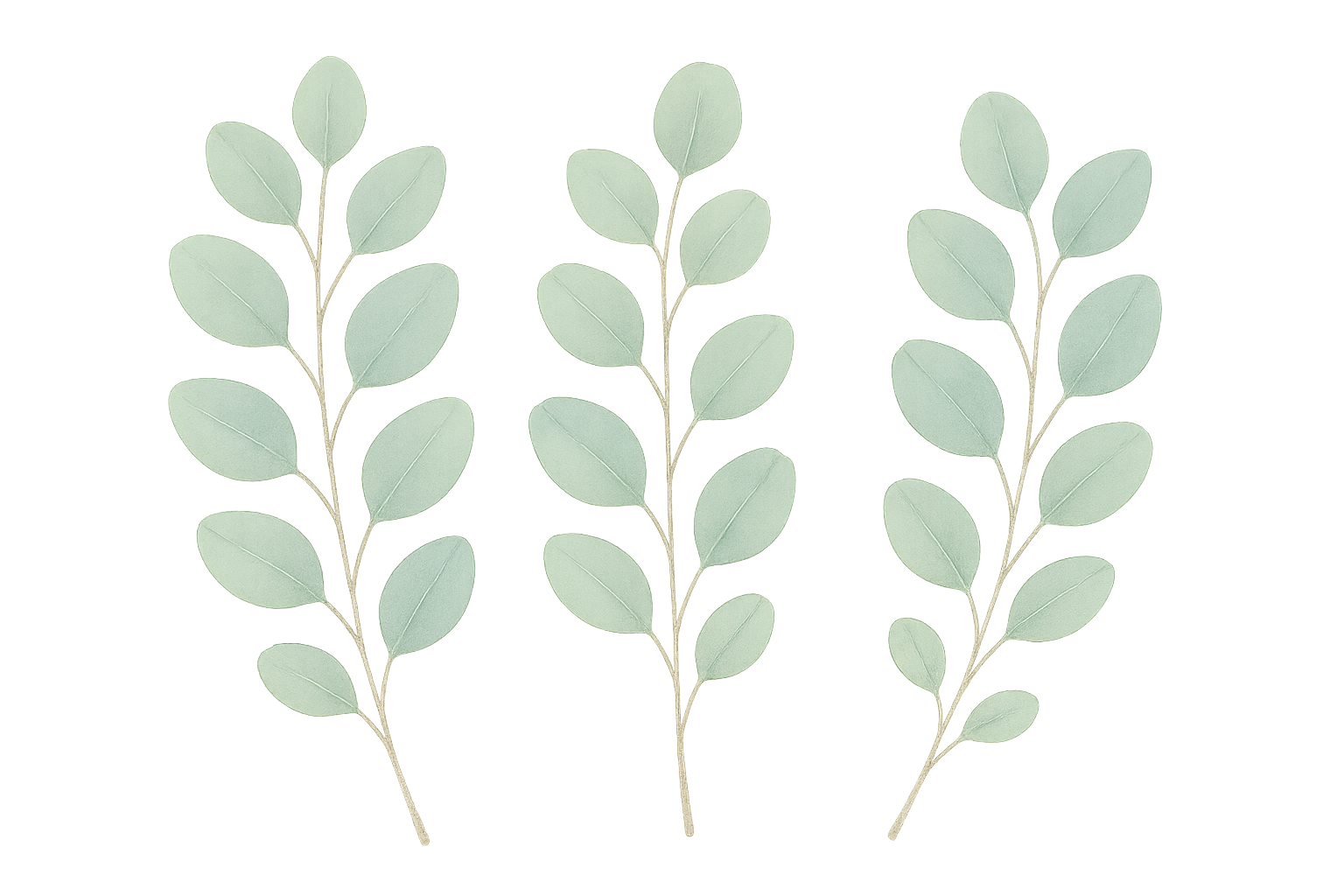 Botanical and organic pattern wallpapers