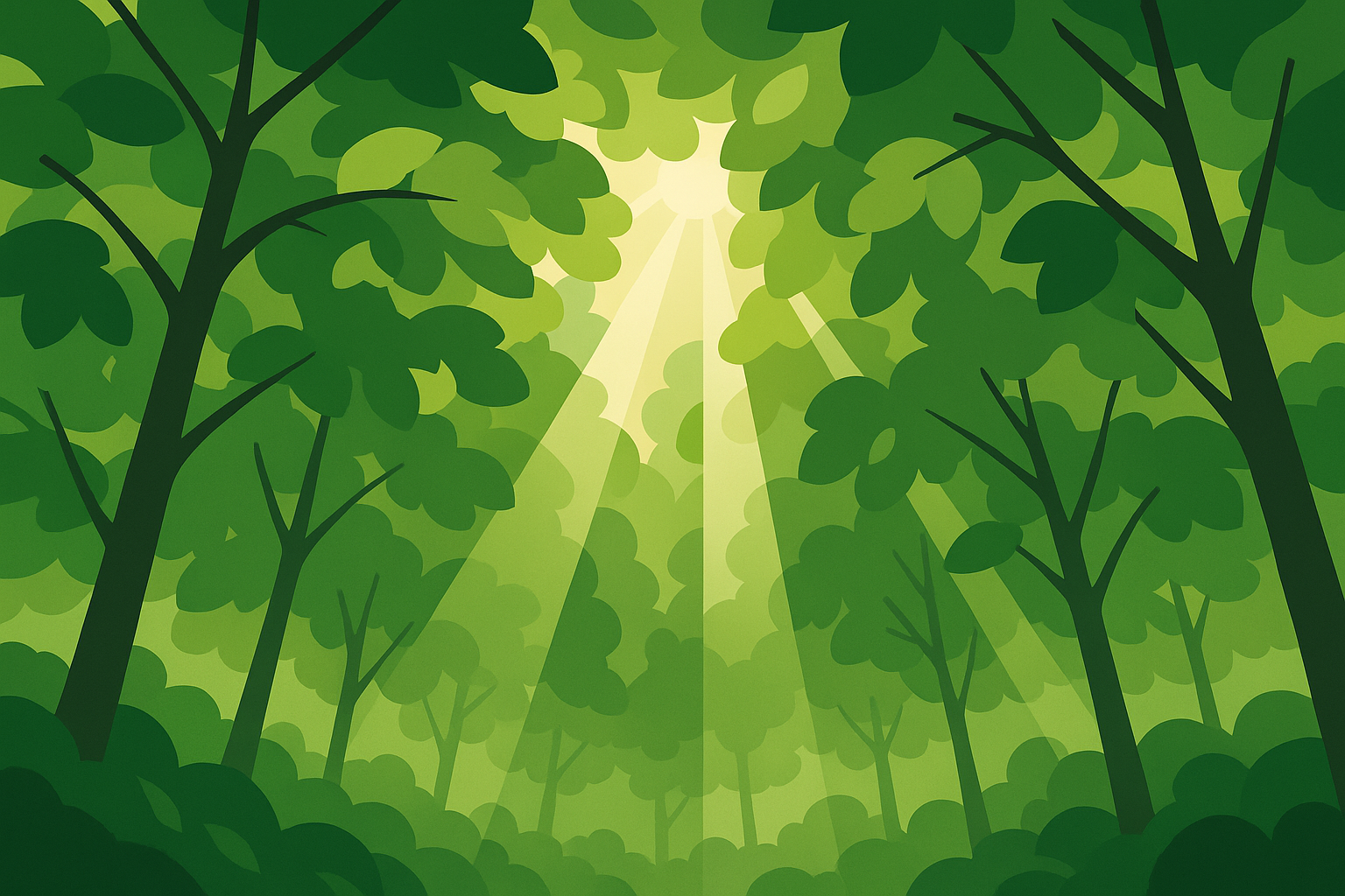 Sunbeams filtering through dense forest canopy