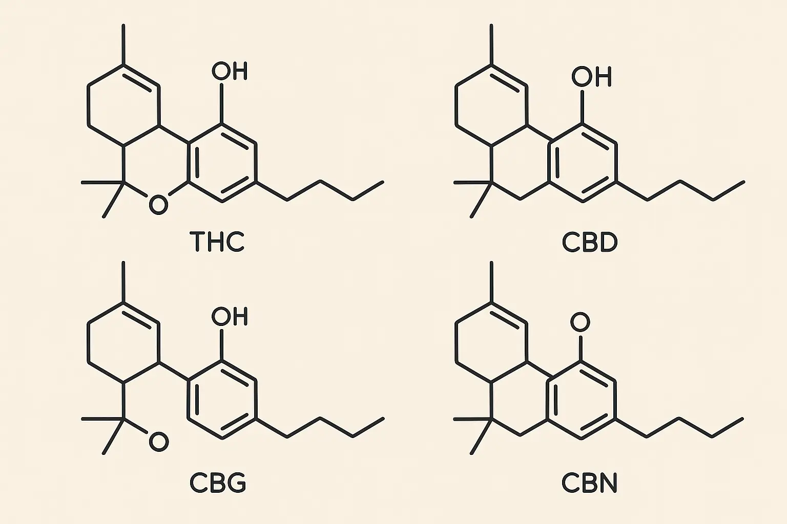 Triple Burger strain terpene profile