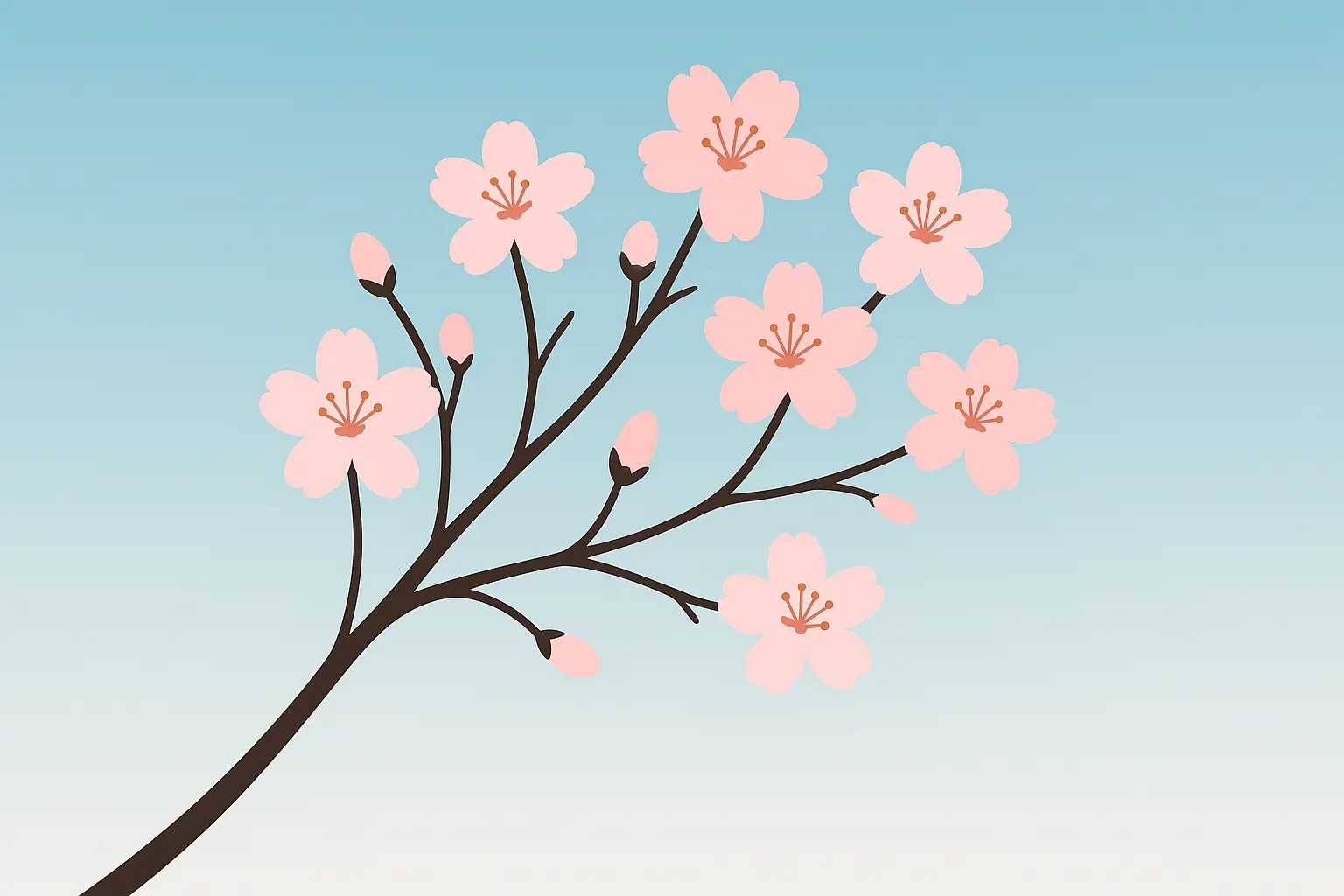 Cherry blossom spring wallpaper