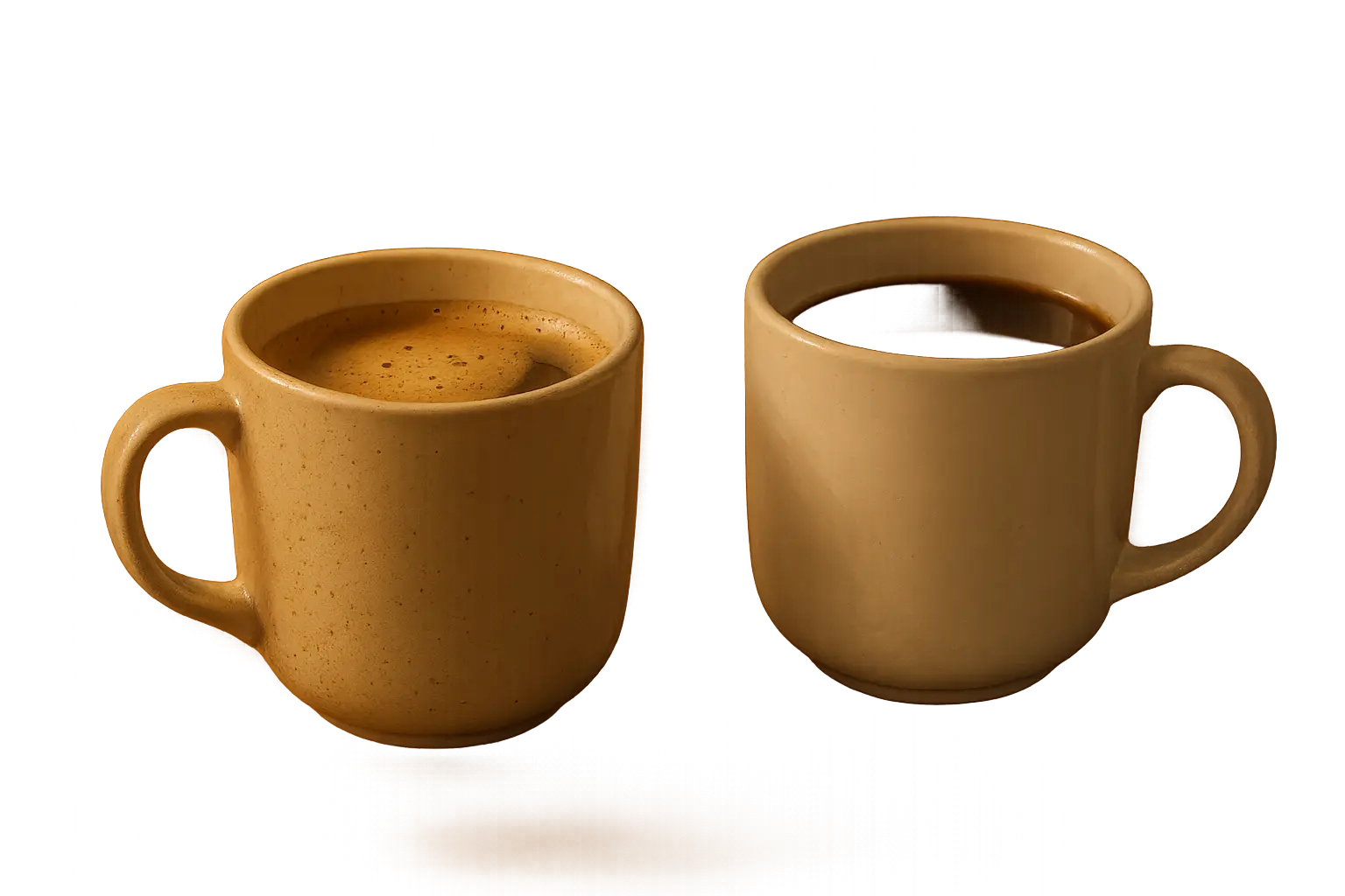 Two adult sisters laughing together as best friends