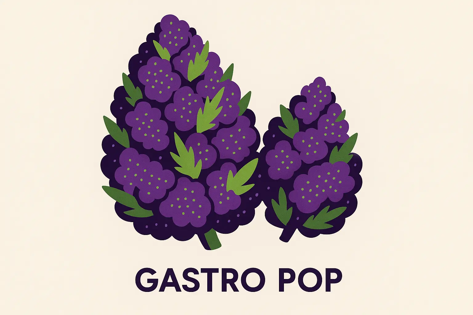 Gastro Pop strain buds with purple coloration
