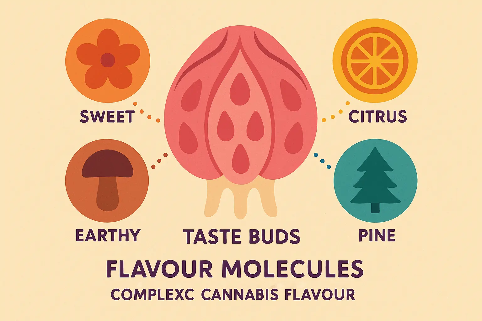 Cannabis terpene flavour wheel showing Zoap strain taste profile