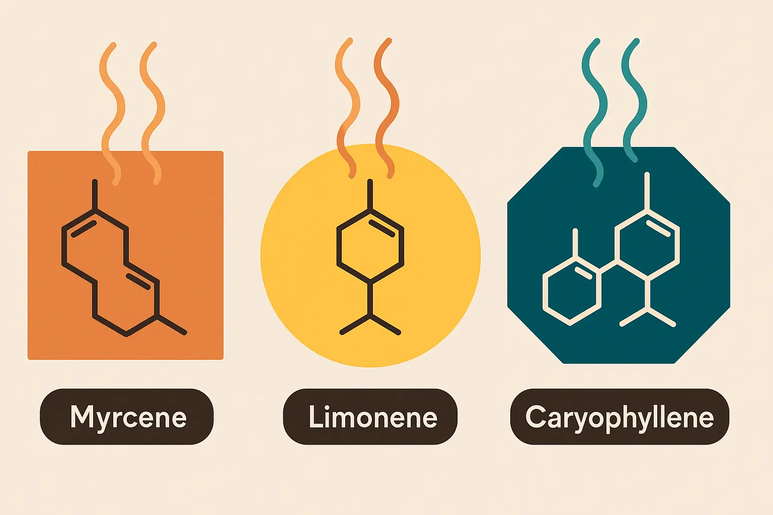 Terpene profile diagram showing Zoap strain compounds