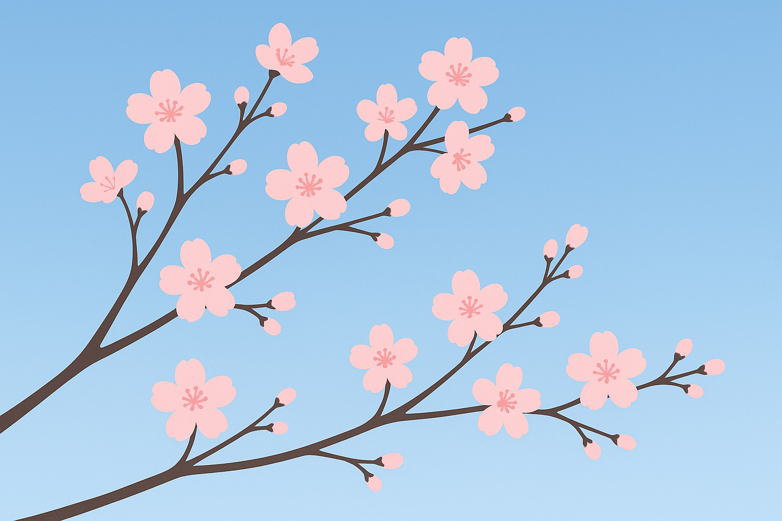 Delicate pink cherry blossom branches
