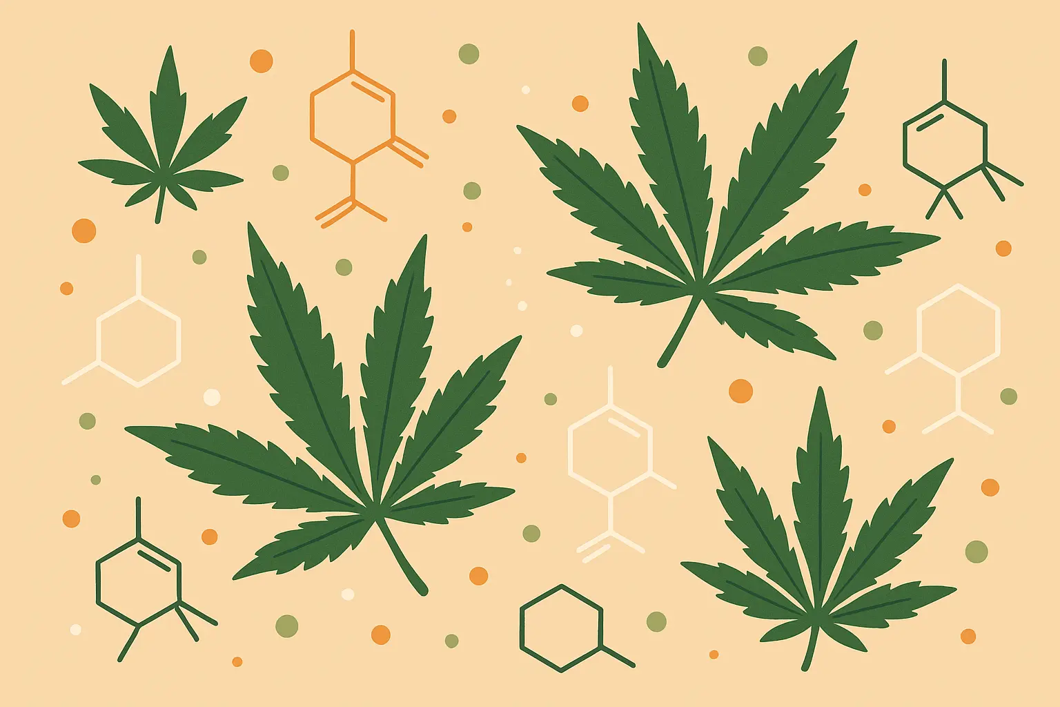 Cannabis terpenes and their effects diagram