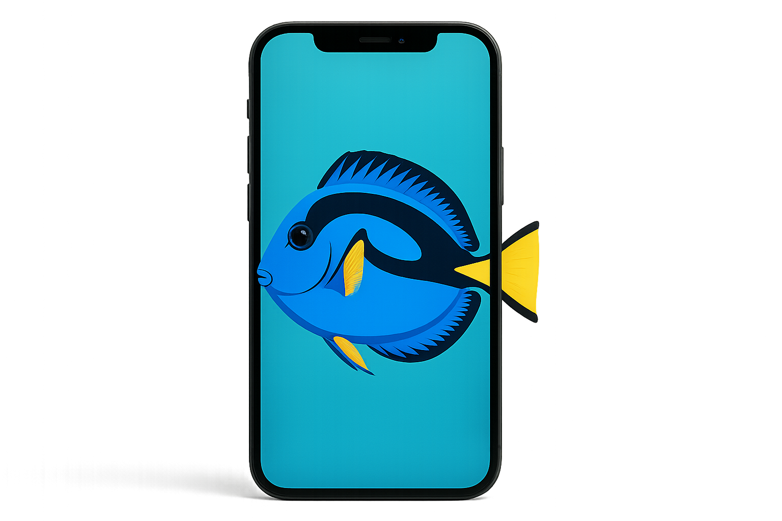 High-resolution fish wallpaper showcasing vibrant colors on modern smartphone display